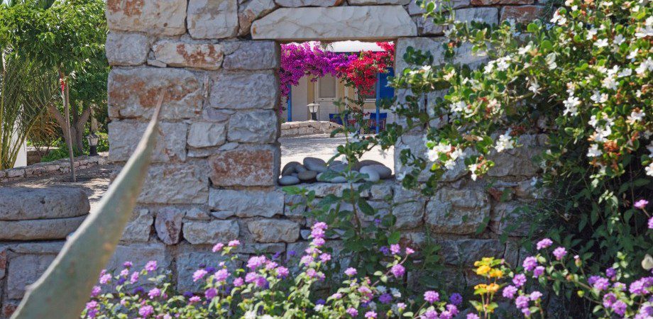 Garden window Garden