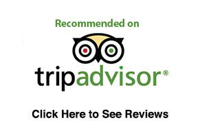 tripadvisor